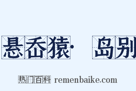 悬岙猿·岛别是什么意思的图片